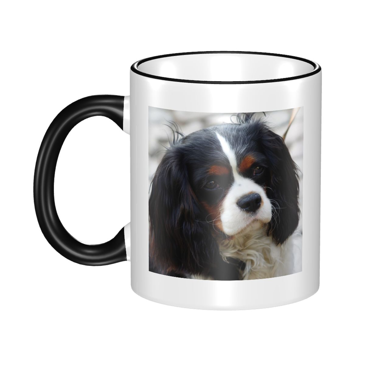 Tri Color Cavalier King Charle - огляд і ціна Coffee Tea Photos