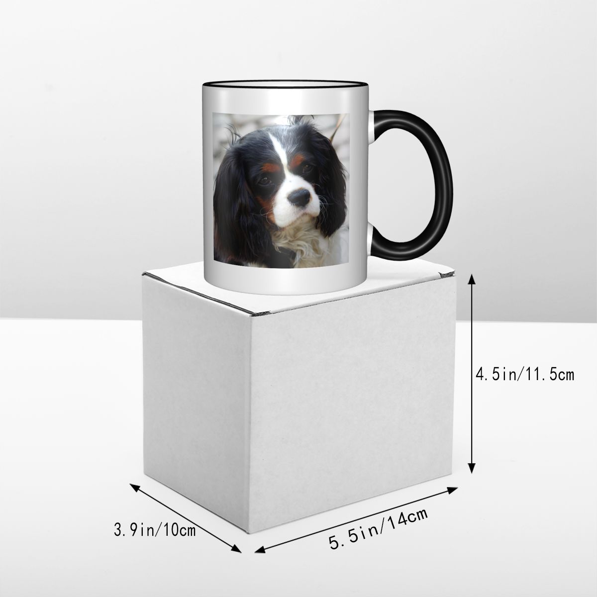Tri Color Cavalier King Charle - огляд і ціна Coffee Tea Photos